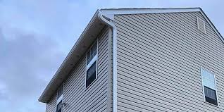 Best Custom Trim and Detailing for Siding  in Rden City, GA